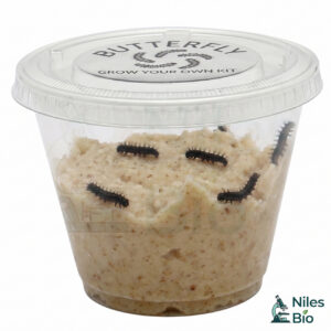 Butterfly Kit - Class 5